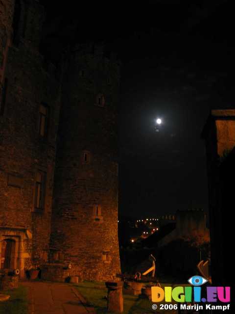 18974 Moonlit castle in Enniscorthy, County Wexford, Ireland